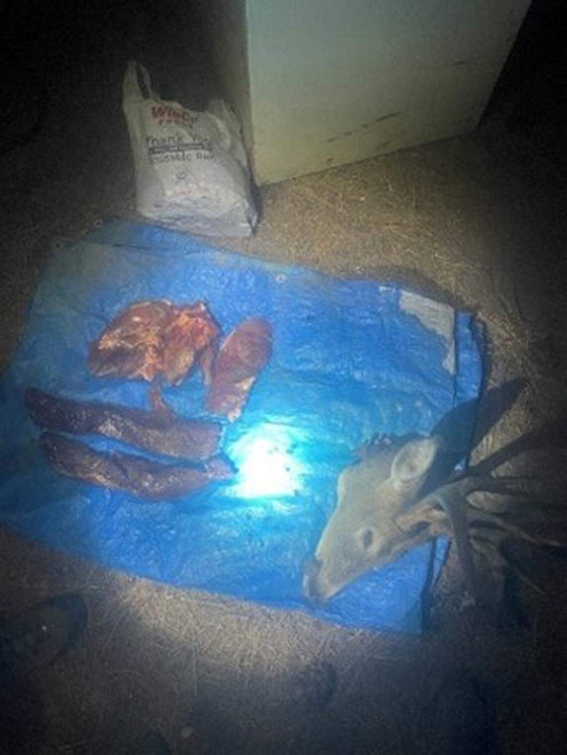 Limited meat and the head were kept after a deer was allegedly shot out-of-season near Dayton by a suspect who used a spotlight at night, according to Washington state Fish and Wildlife Police.