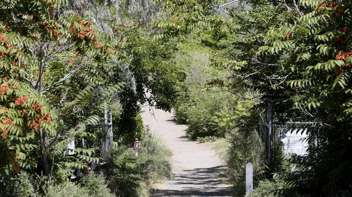The Bateman Island causeway creates pedestrian access to the island from Columbia Park Trail in Richland. The island reopened this week, three months after a devastating fall fire.