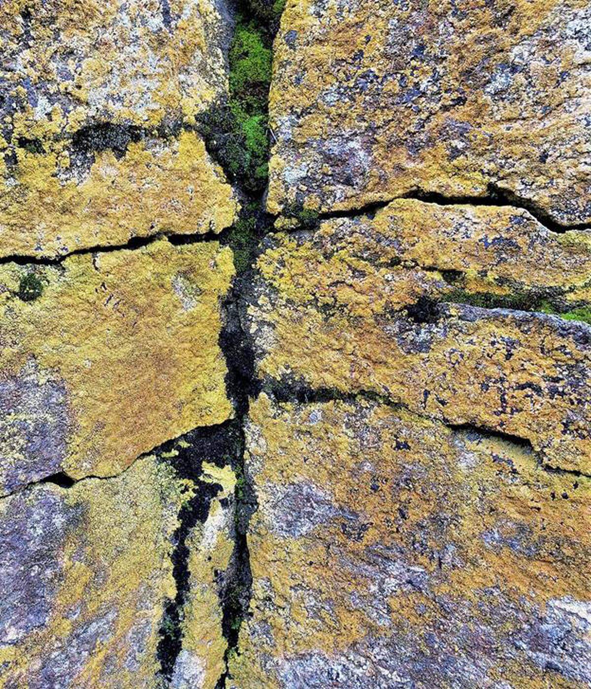 Colorful patches of moss and lichen adorn the exposed basalt surfaces everywhere you look.