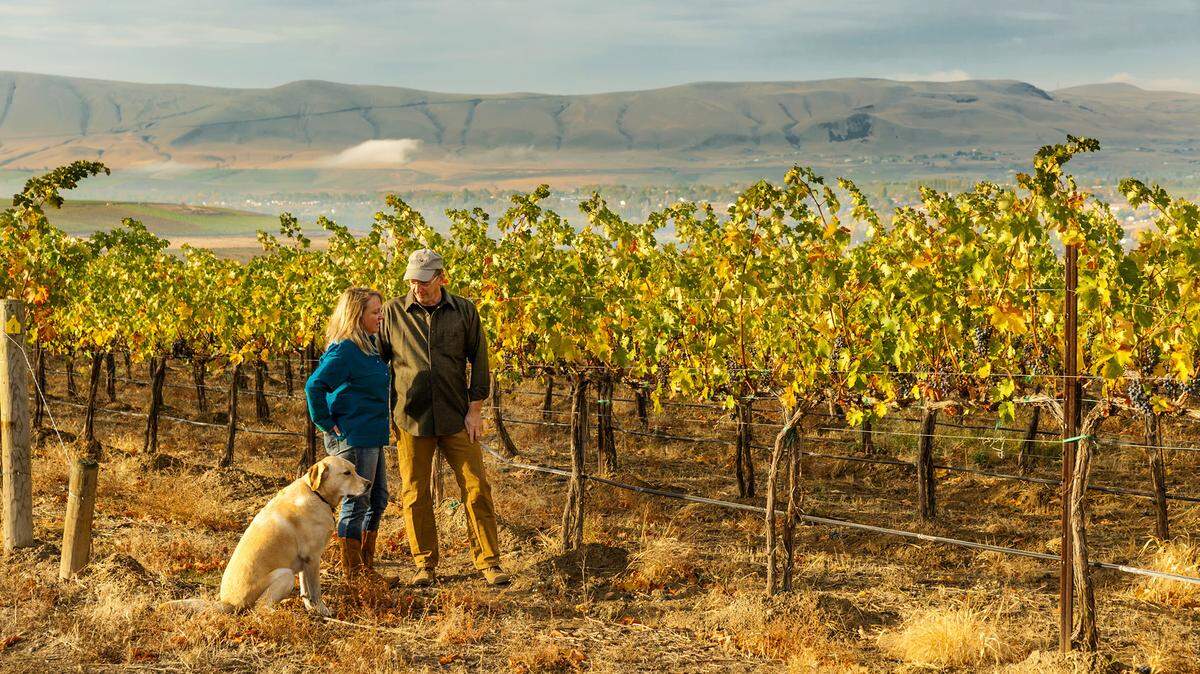 Tim and Kelly Hightower finished planting their estate vineyard on Red Mountain in 2005 and opened their Hightower Cellars tasting room in 2008.