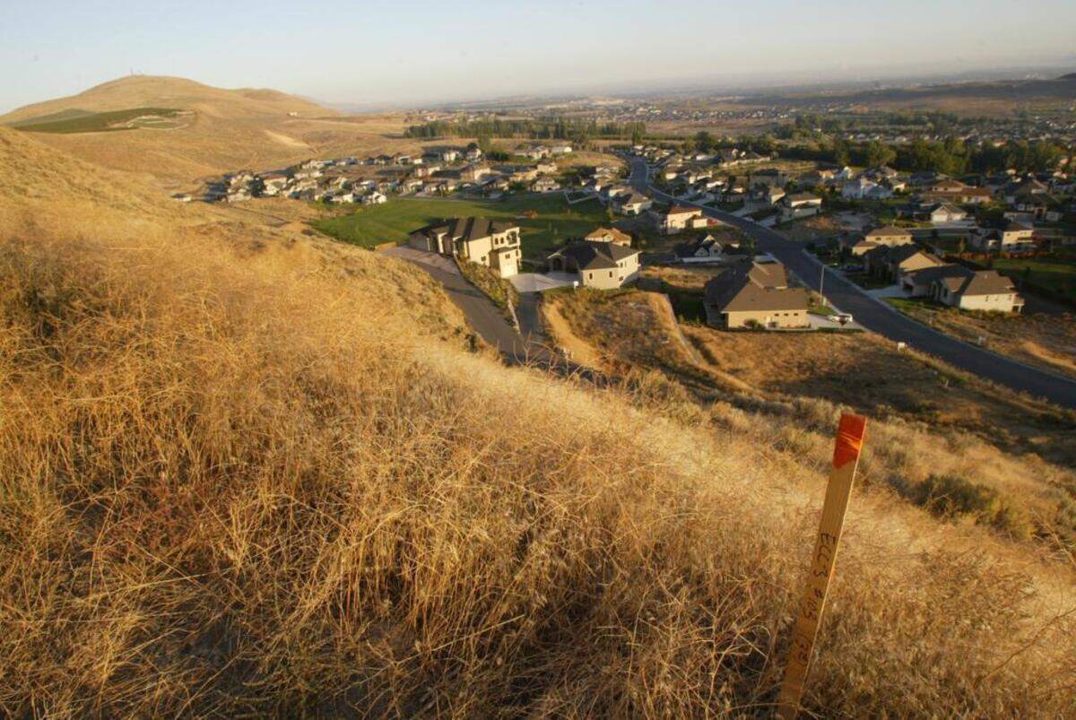 Badger Mtn development