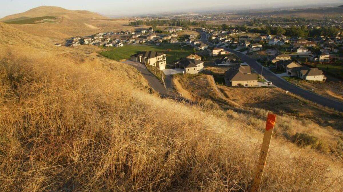 Badger Mtn development