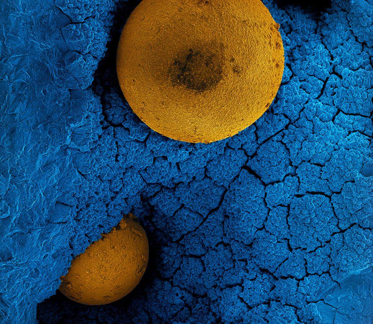 PNNL researchers used a technique called X-ray computed tomography to recreate a virtual model of how basalt rocks (blue) convert carbon dioxide into carbonate nodules similar to limestone (yellow) — a safe, permanent way to lock away the carbon dioxide.