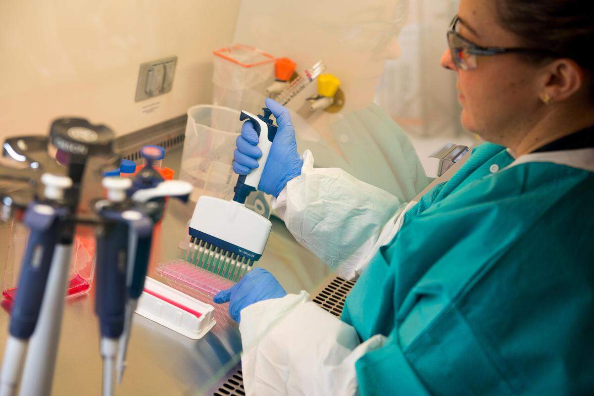 PNNL researchers like Kristie Oxford are investigating individual viruses to better understand how they live and thrive on host cells.