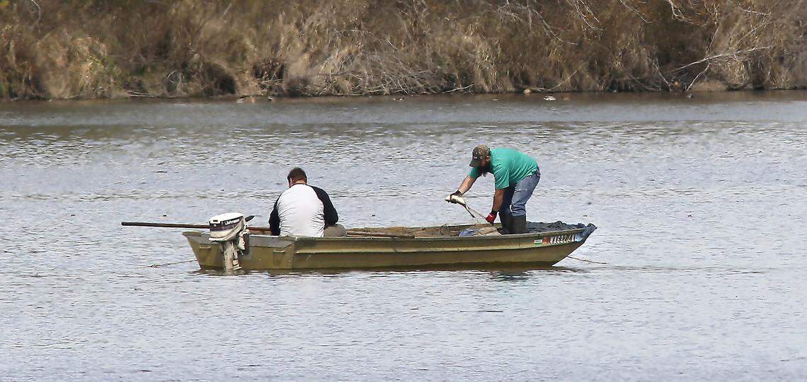 A pair of fishermen check a gill net from a small john boat recently in the shallow backwaters of the Yakima River near Bateman Island in Richland. They are legally permitted through the Washington Department of Fish & Wildlife for the commercial harvest of carp, according WDFW officer Jon Horn. 