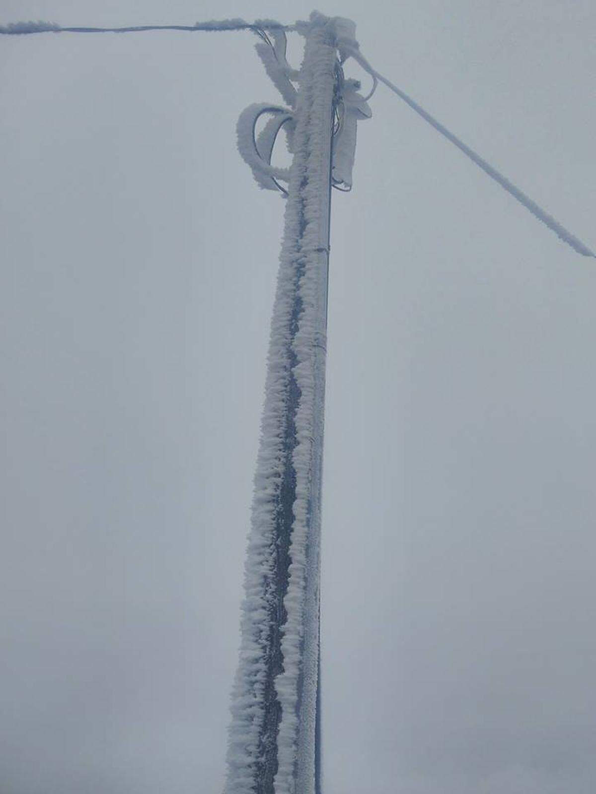 Hoar frost was so heavy Monday night near Rattlesnake Mountain that it snapped 18 Benton REA power poles.