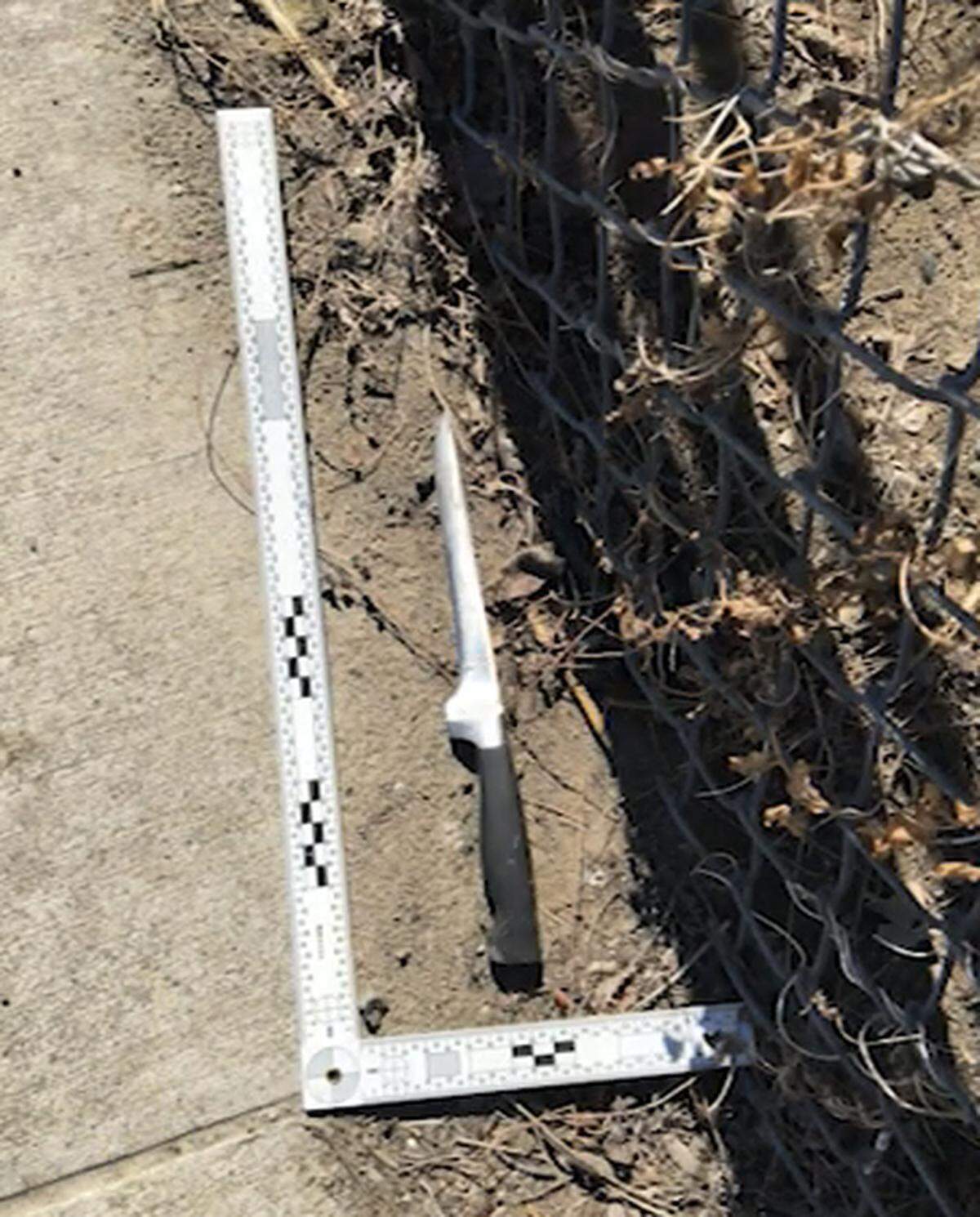 Police included photos of the knife Artz appeared ready to throw at officers during a deadly confrontation in a video about stabbing and shooting at Sixth Avenue and Lewis Street.