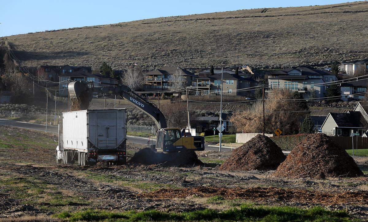 An excavator removes mulched fruit trees on Olympia Street in Kennewick for redevelopment for homes.