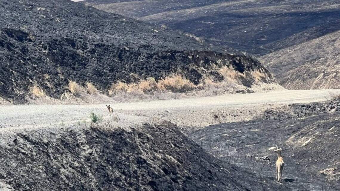 UPDATE: 13,000-acre fire that forced evacuations and closed Hwy 12 nearly contained