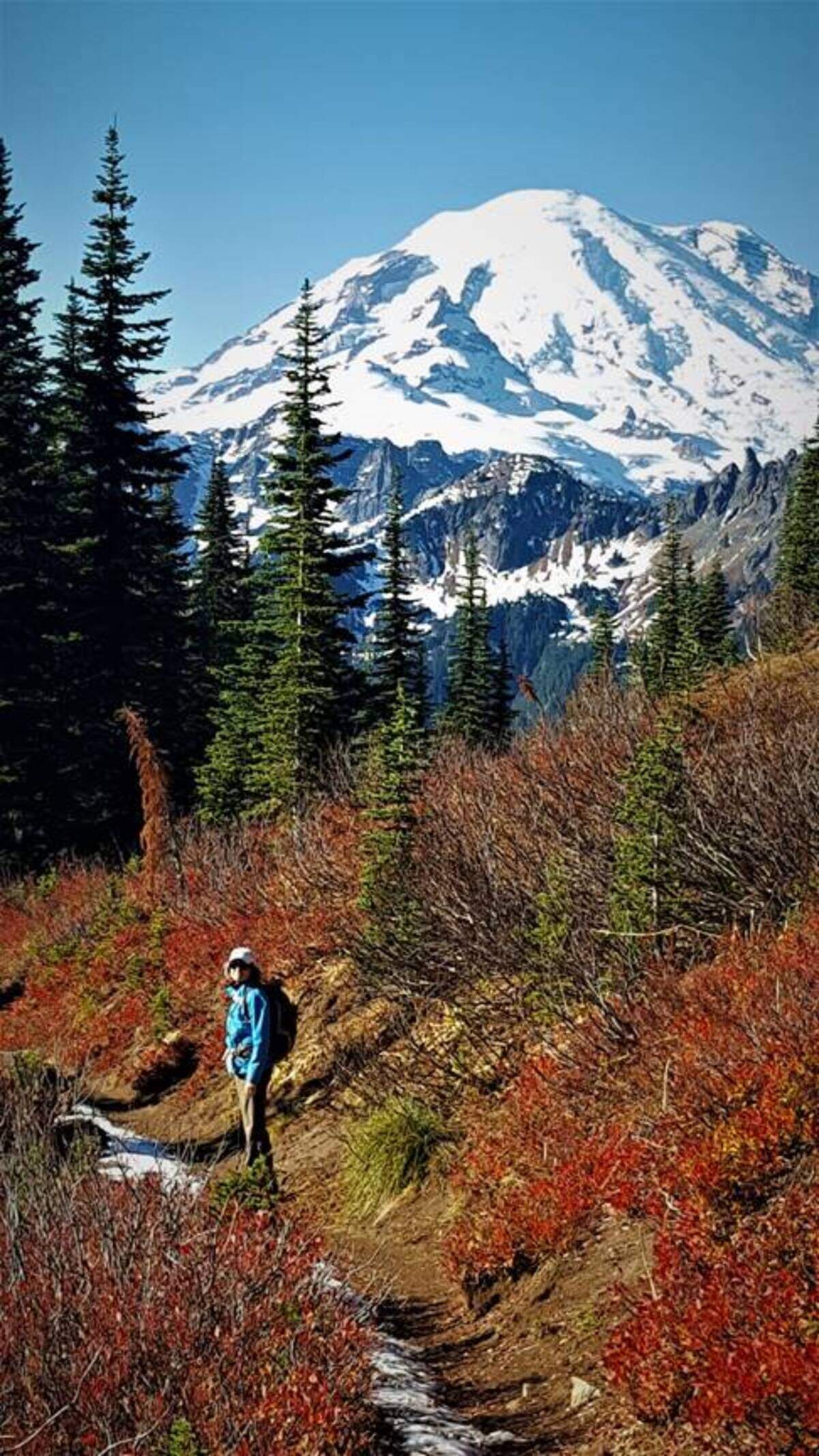 Fall colors ablaze on the Naches Peak Loop Trail on Chinook Pass west of Yakima.