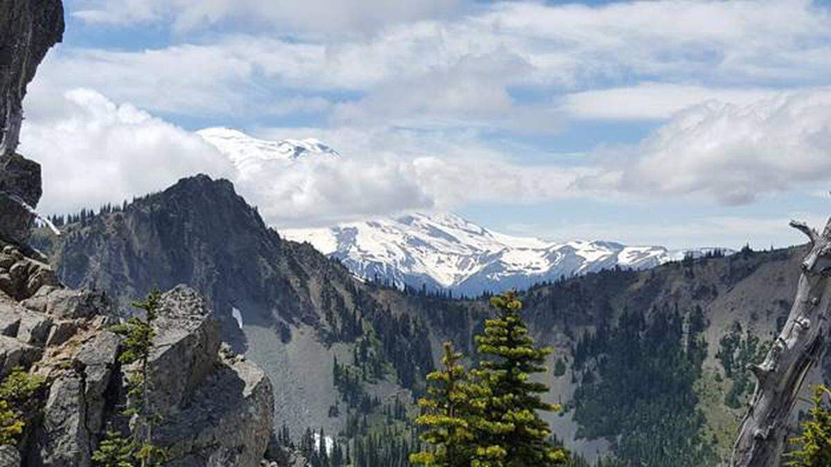 Mount Rainier from a rocky knoll north of Sourdough Gap.