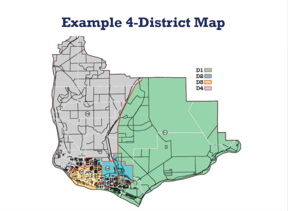 A draft map shows what four district-only school board positions could look like.