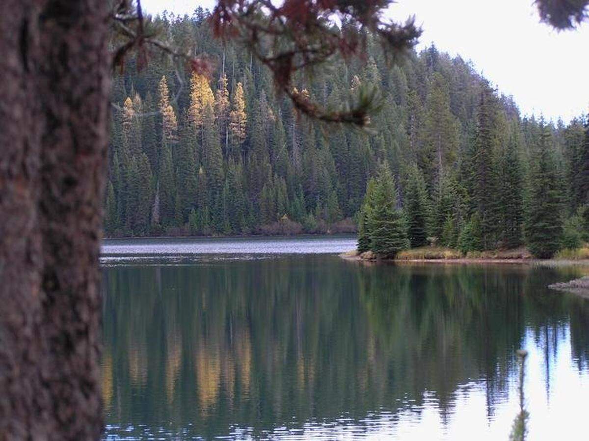 Jubilee Lake Campground is the largest and most popular campground in the Umatilla National Forest.