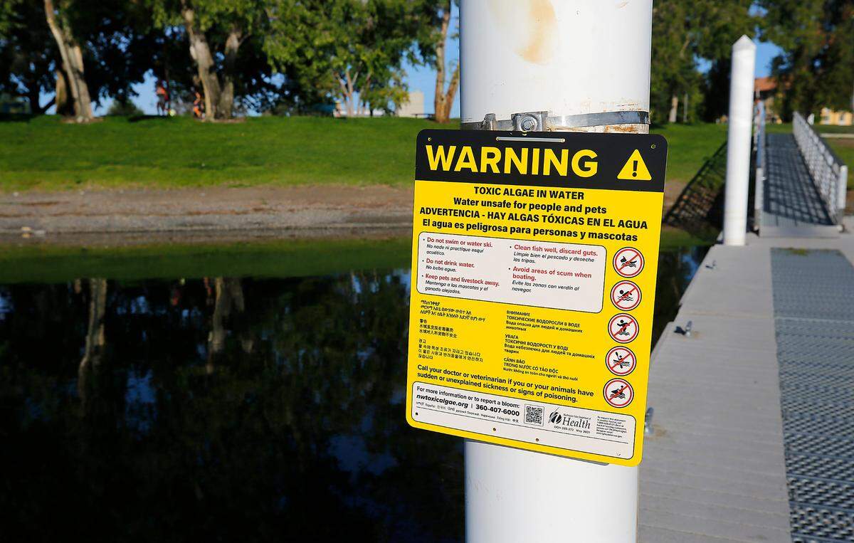 The Benton Franklin Health District posts signs warning that people and their pets should stay out of the Columbia River when unsafe levels of toxic algae are detected.