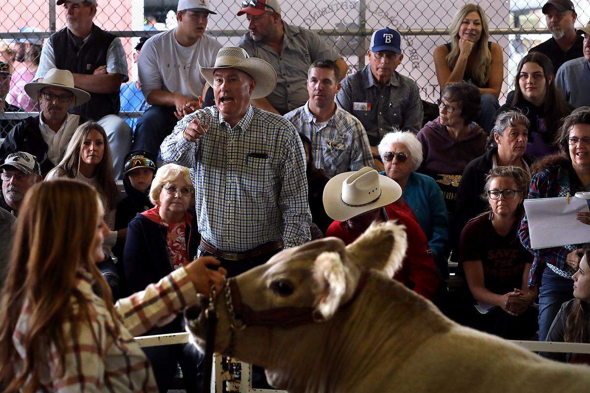 Auctioneer Butch Booker calls out a bid for Gracelyn Waters’ 4H Reserve Champion cow during the annual Market Stock Sale at the Benton Franklin Fair & Rodeo at the fairgrounds in Kennewick. The winning bid for the Burbank girl’s 1,308-pound cow was $6.25 per pound. The auction is the culmination for the many animal exhibitors in the beef, goats, sheep and swine categories and annually raises thousands for the young competitors.