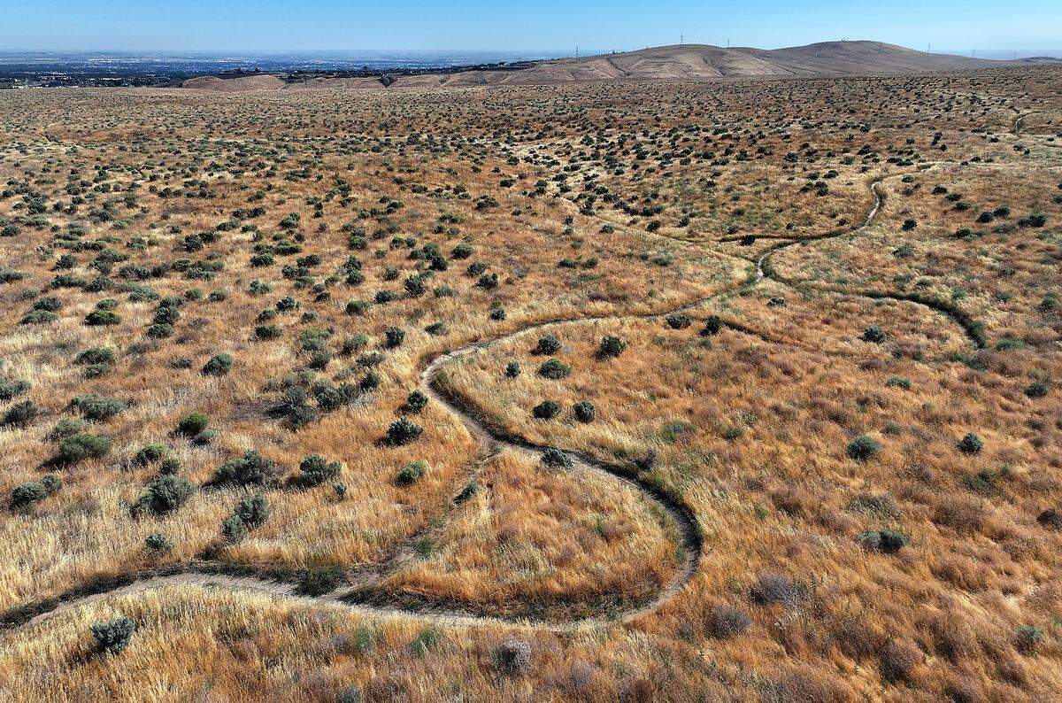 Well-used mountain bicycle trails snake through the desert landscape just south of Kennewick near the Washington State Patrol office just east of Interstate 82.