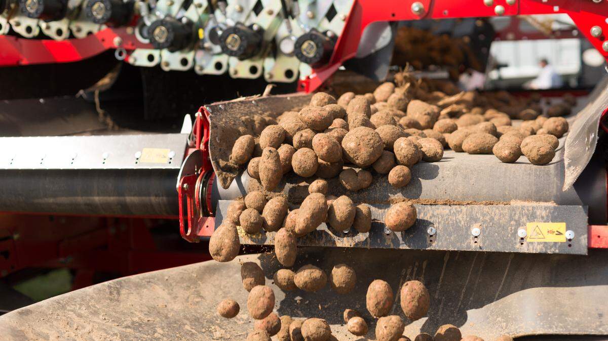 Two Pasco companies will pay $470,000 to settle a lawsuit claiming they didn’t protect female farmworkers from a supervisor who allegedly raped and harassed them.