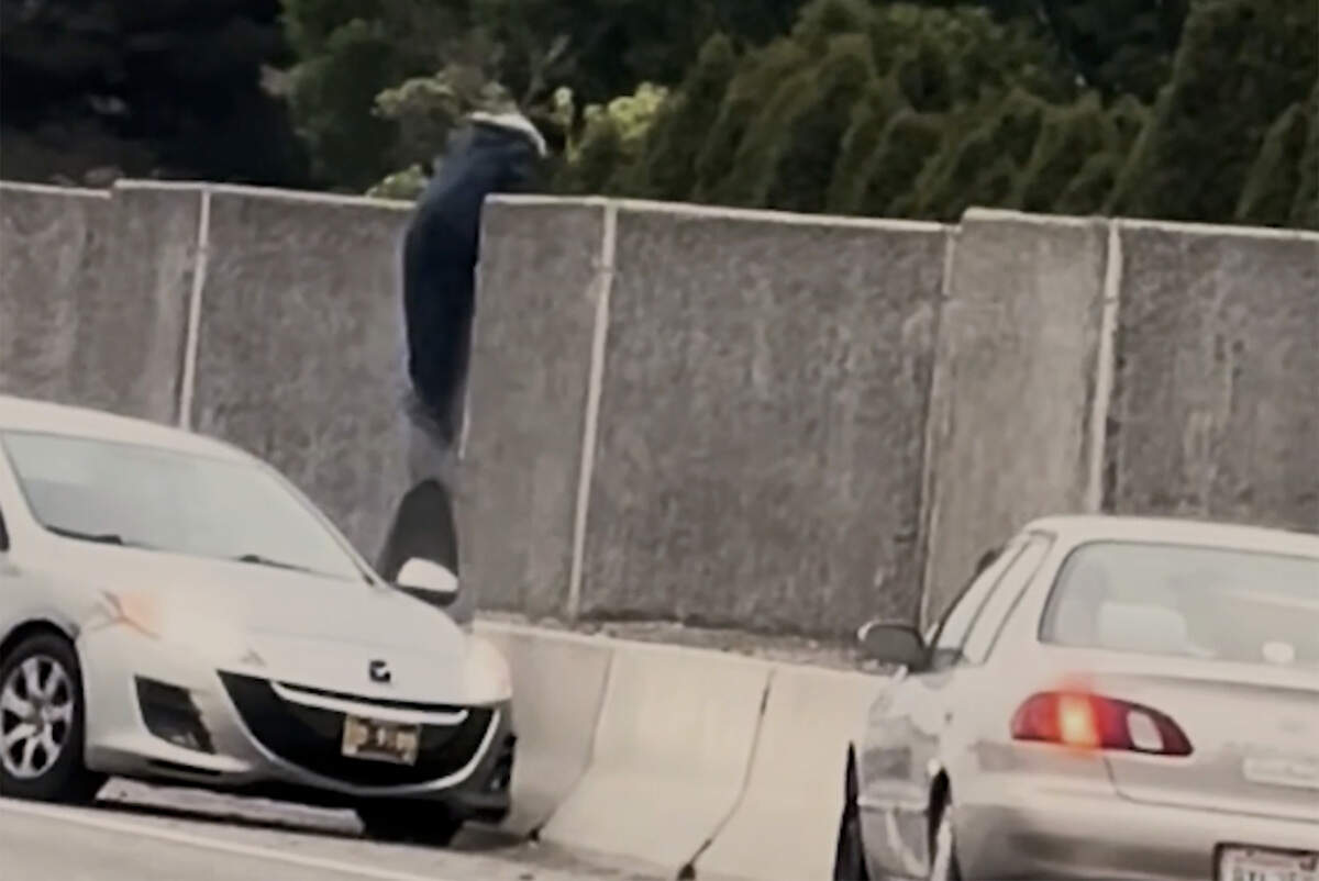 A suspect jumps over an 8-foot wall along Highway 240 trying to flee from Washington State Patrol troopers in Richland. 