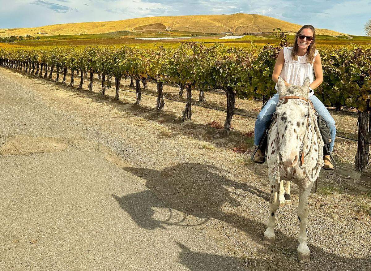 Teresa and Jeff Owen of Benton City closed Red Mountain Trails Winery to focus on their trail riding business, which takes guests on horseback tours of area vineyards.