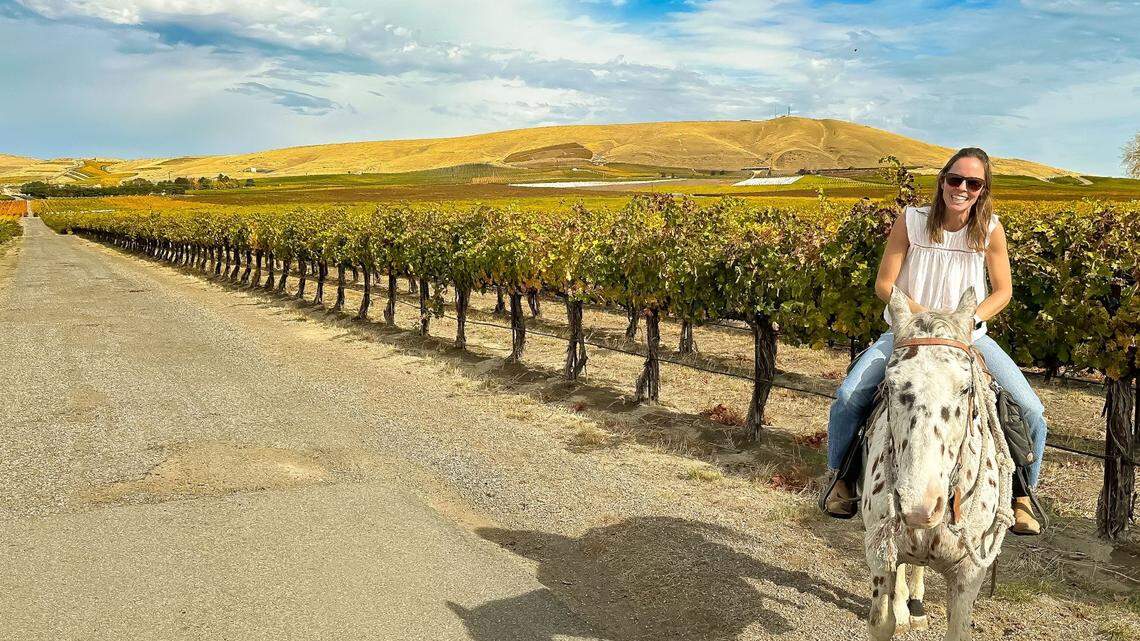 Insurance costs crush tiny Red Mountain winery. But owner says that’s not why it closed