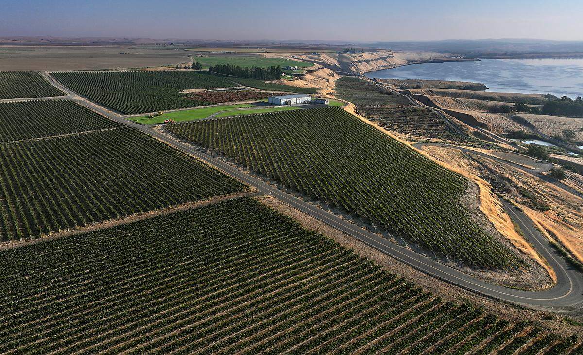 North 44, which is run by Ben Harris and Kennewick city councilman Brad Beauchamp, is partnering with Keith and Jordan Tiegs to transform the 300 acres on the Snake River shoreline.