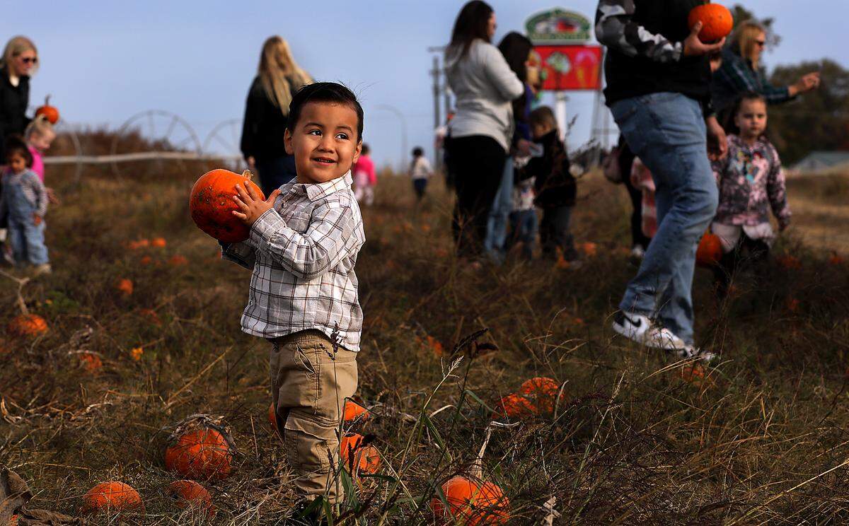Benji Moran, 2, is all smiles while holding up the pumpkin he picked out, with a little help from mom, during a family trip to the Country Mercantile’s Harvest Festival just north of Pasco. 