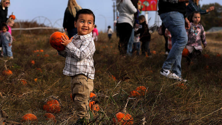 6 corn mazes, pumpkin patches and terrifying haunts near Tri-Cities