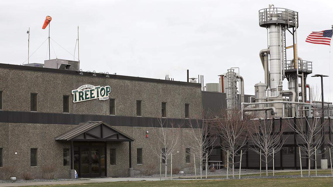 Big Tree Top expansion could add hundreds of Eastern WA jobs