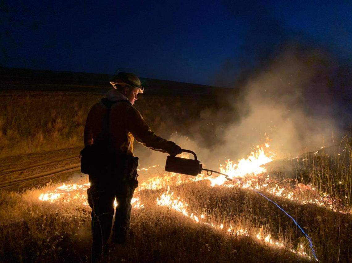 Franklin County Fire District 3 crews setting backburns on Labor Day.