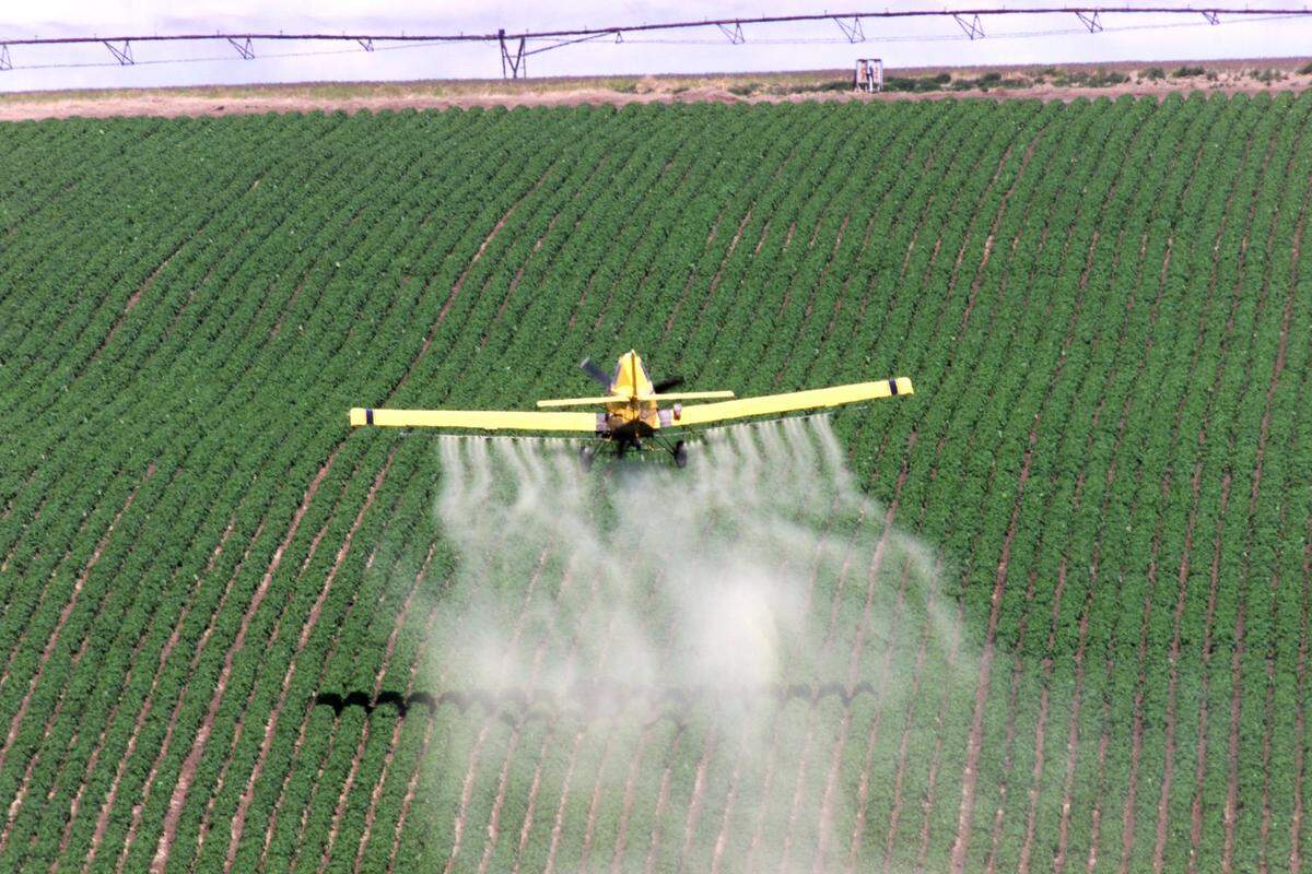 A crop duster applies spray to a field of potatoes east of Highway 12 on Dodd Road in Walla Walla County in this Herald file photo.