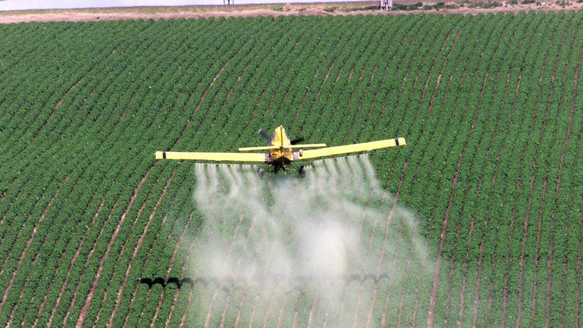 Residents across WA work together to protect farmland for future generations | Opinion