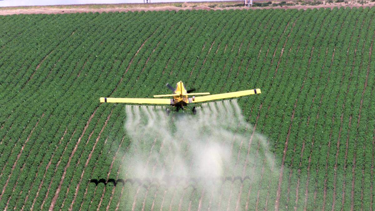 A crop­duster sprays a potato field about six miles east of Highway 12 on Dodd Road in Walla Walla County.