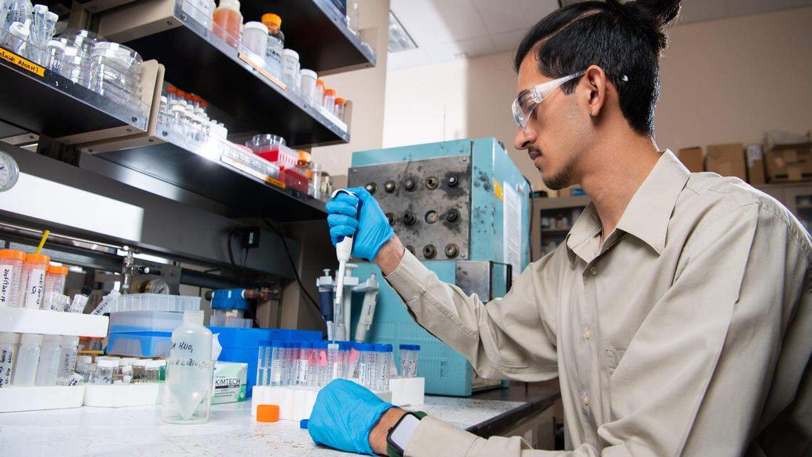 1,200 interns work on groundbreaking science at PNNL, calling Tri-Cities home for summer