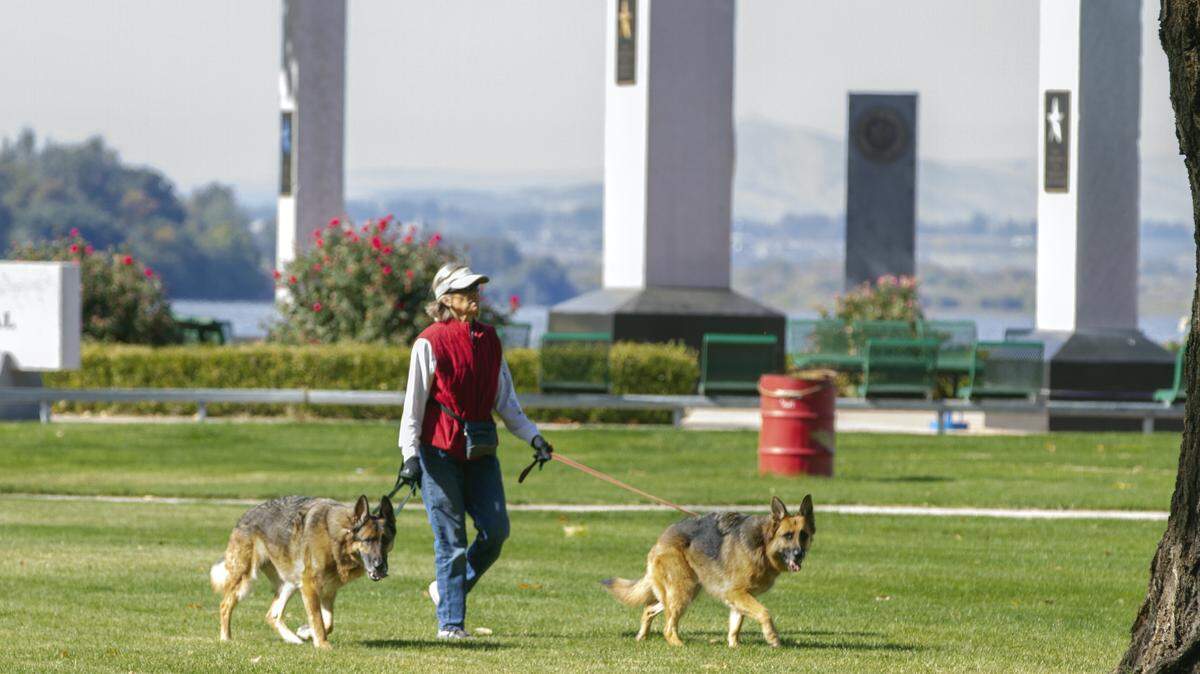 Beth Morris of Florida takes advantage of the calm weather Wednesday to walk her two German Shepherds, Nezper and Zazu, at Columbia Park.