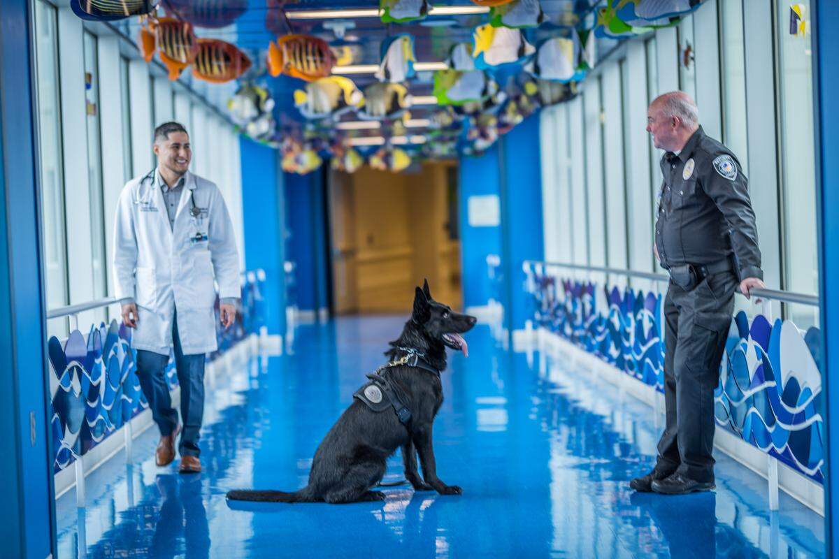 K9 Serge and Pat K9 Serge is pictured with handler Pat McKenna at Providence Sacred Heart Medical Center in Spokane. Kadlec Regional Medical Center is expanding its own security team at the Richland campus to include professionally trained canine security officers, including a German Shepherd.McKenna, his handler from Providence Sacred Heart Medical Center in Spokane. Kadlec is expanding its security team at the hospital campus to include professionally trained canine security officers, including a German Shepherd.