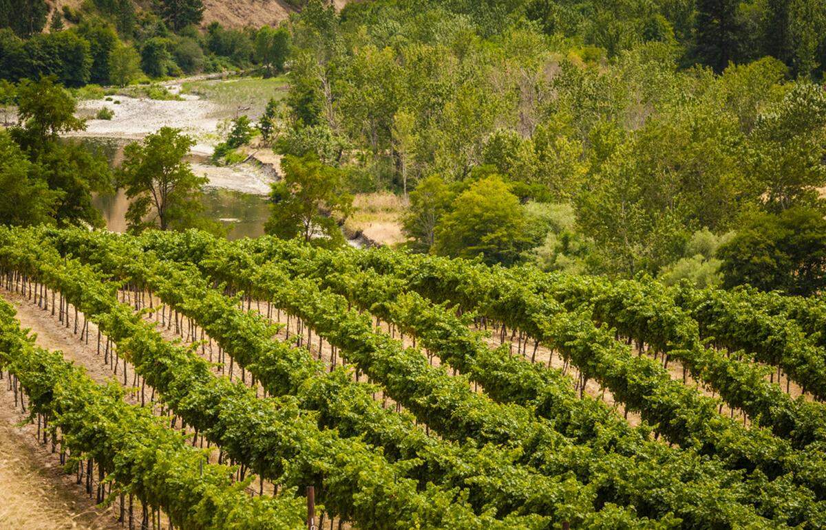 Several blocks at Colter’s Creek Vineyard overlook the Potlatch River near Juliaetta, Idaho, with the Clearwater River just downstream.