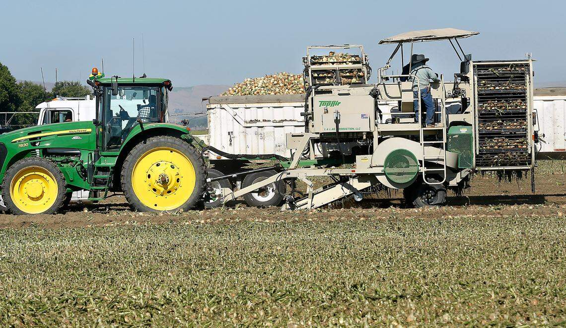 Canada purchased $70 million of fresh onions from Washington in 2023 and was the state’s top buyer.