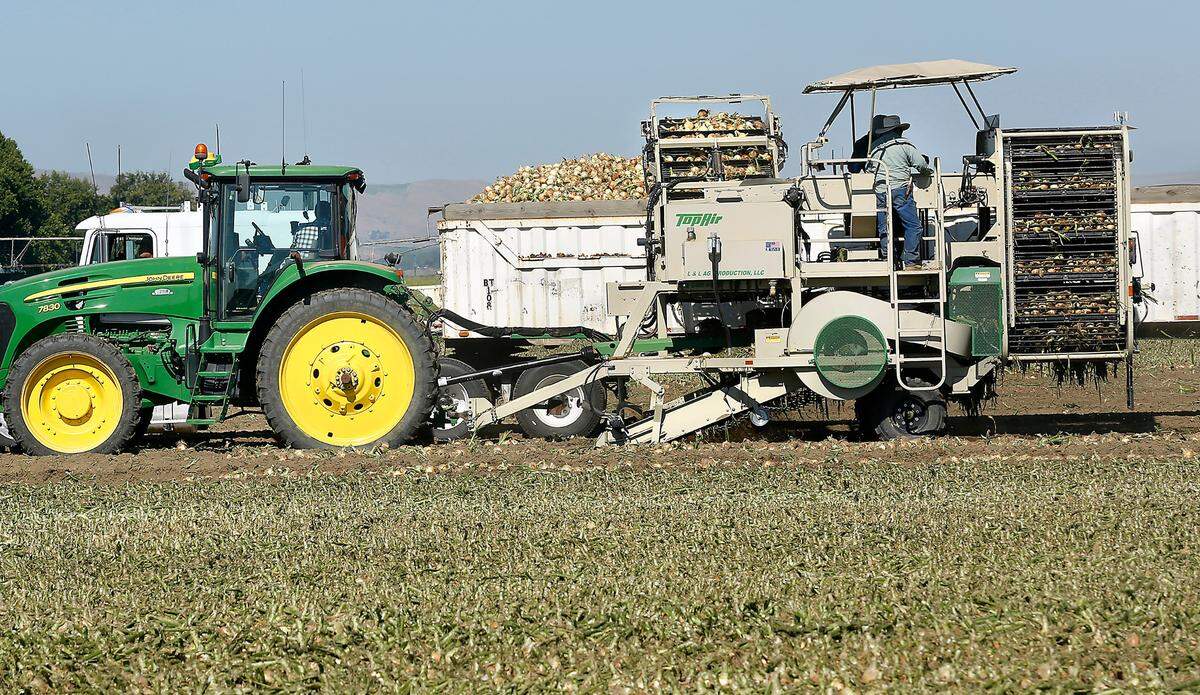 Canada purchased $70 million of fresh onions from Washington in 2023 and was the state’s top buyer.