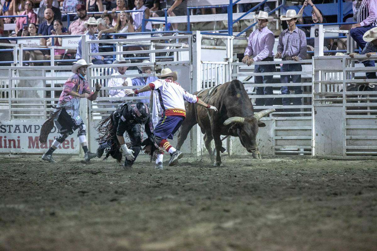 Bullfighter Rowdy Barry gets between the bull and bull rider at the Omak Stampede, which inducted Barry into its Hall of Fame earlier this month.