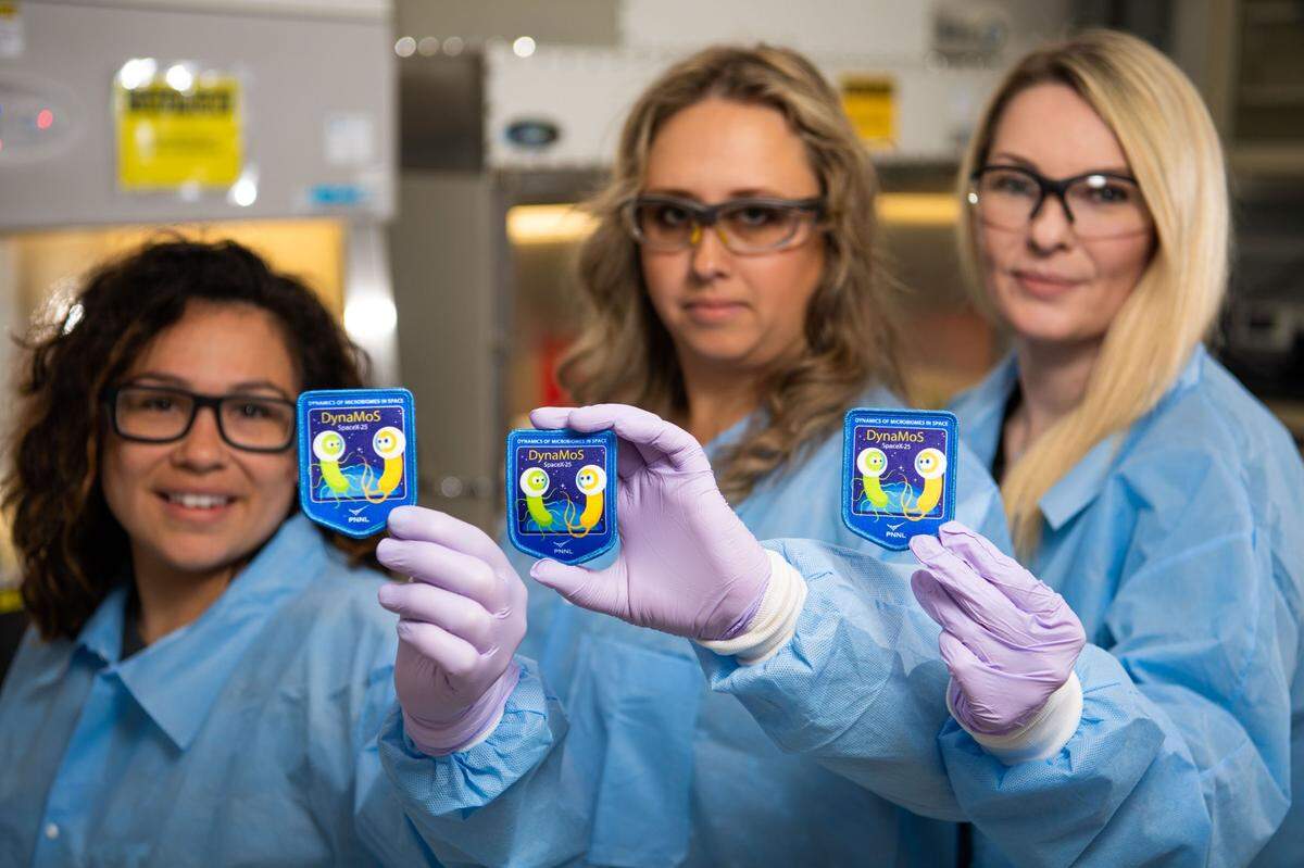 Like the patches worn by astronauts to represent their mission, the patches displayed proudly here by PNNL researchers (from left to right) Marci Garcia, Yuliya Farris and Kim Hixson were designed to commemorate their project, which involves sending microbes to space.
