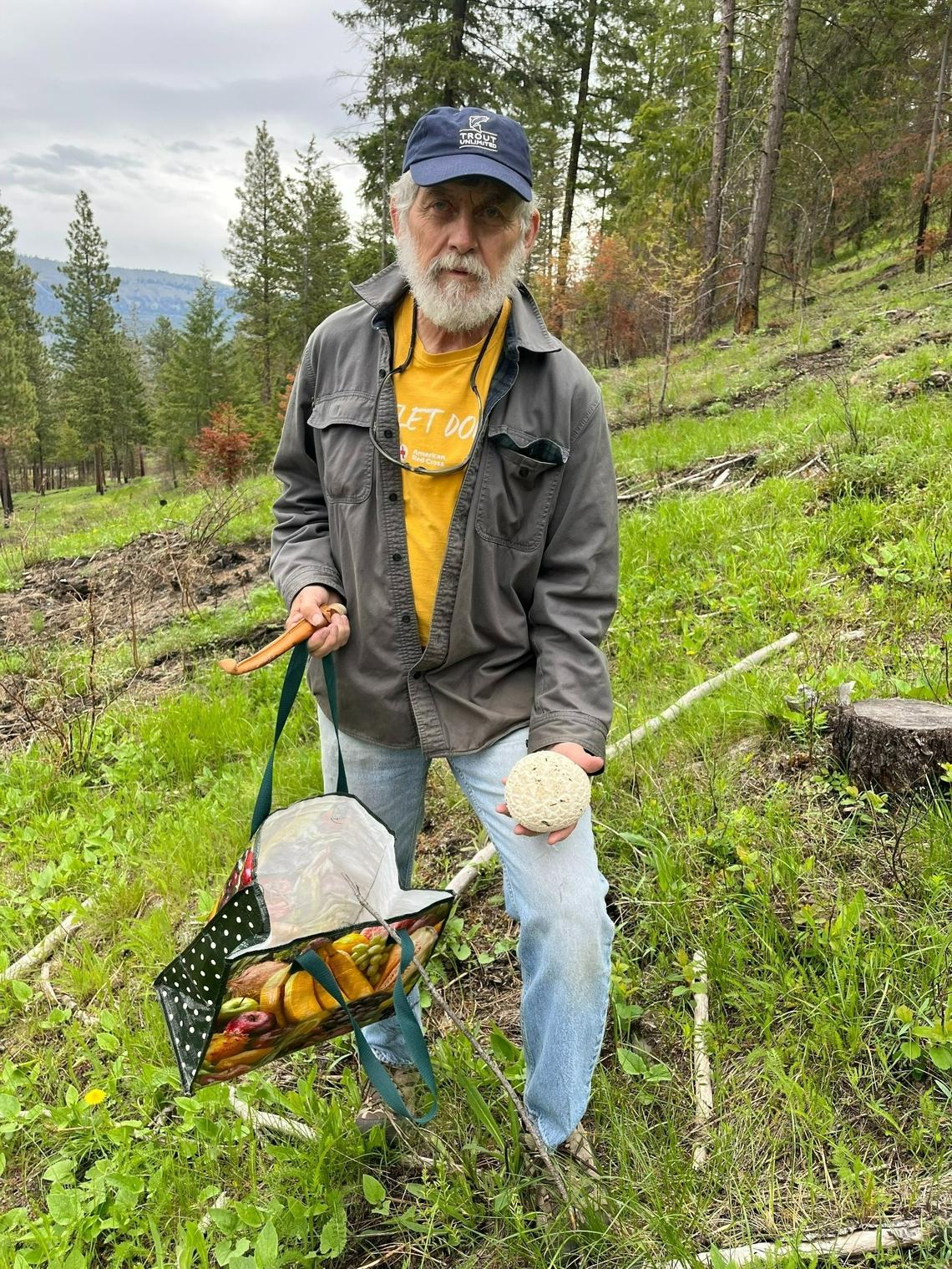 Puffball mushrooms are considered edible if their flesh is white throughout.