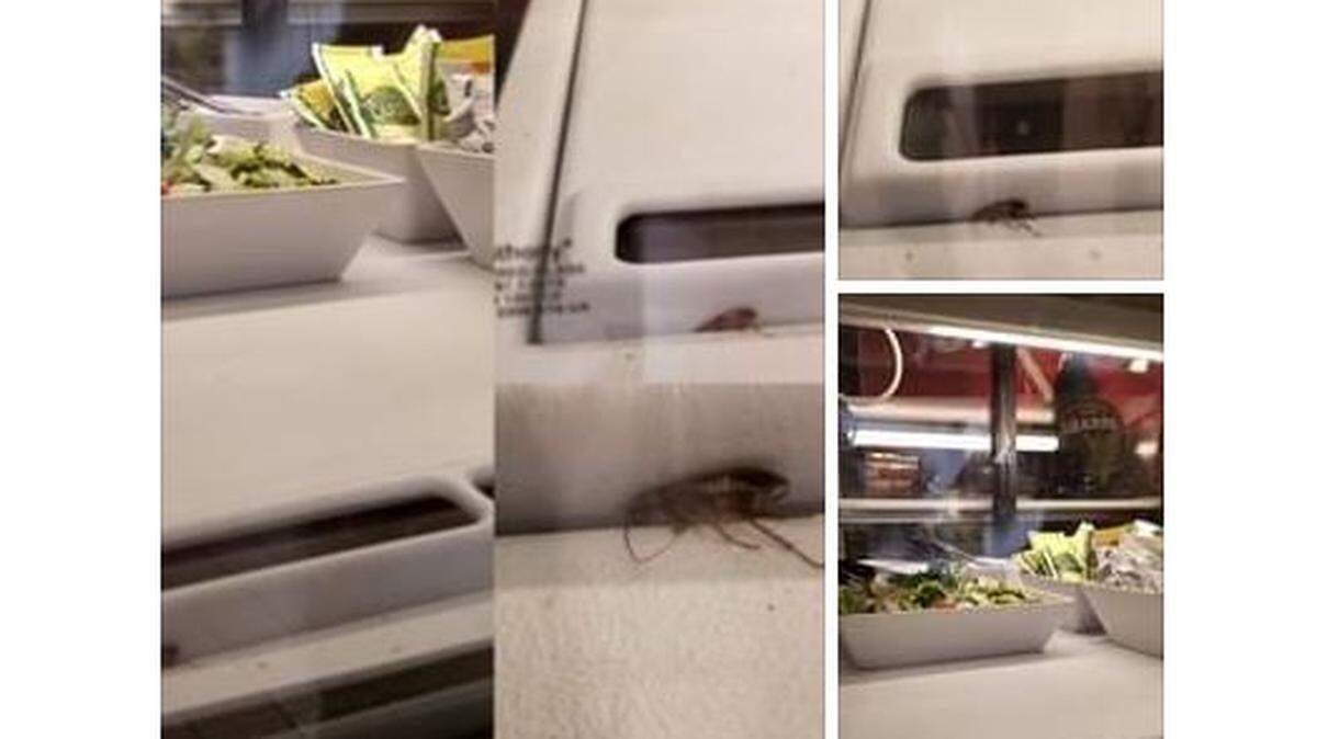 The Benton Franklin Health District is investigating after photos of a cockroach at the Columbia Center mall in Kennewick was posted on social media.