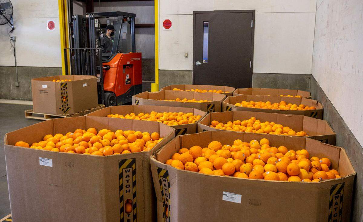 Second Harvest received a truckload of oranges from Feeding America at their Pasco distribution center this week as part of a larger initiative sponsored by Northwest Agricultural Consultants (NWAG) in celebration of National Agriculture Month.