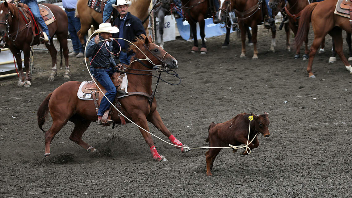 More seats, more thrills at 78th Tri-Cities rodeo. Ticket sales begin