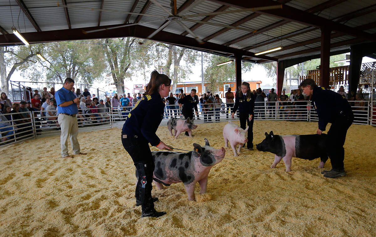 The 2023 Benton Franklin Fair & Rodeo celebrated its 75th anniversary at the fairgrounds in Kennewick
