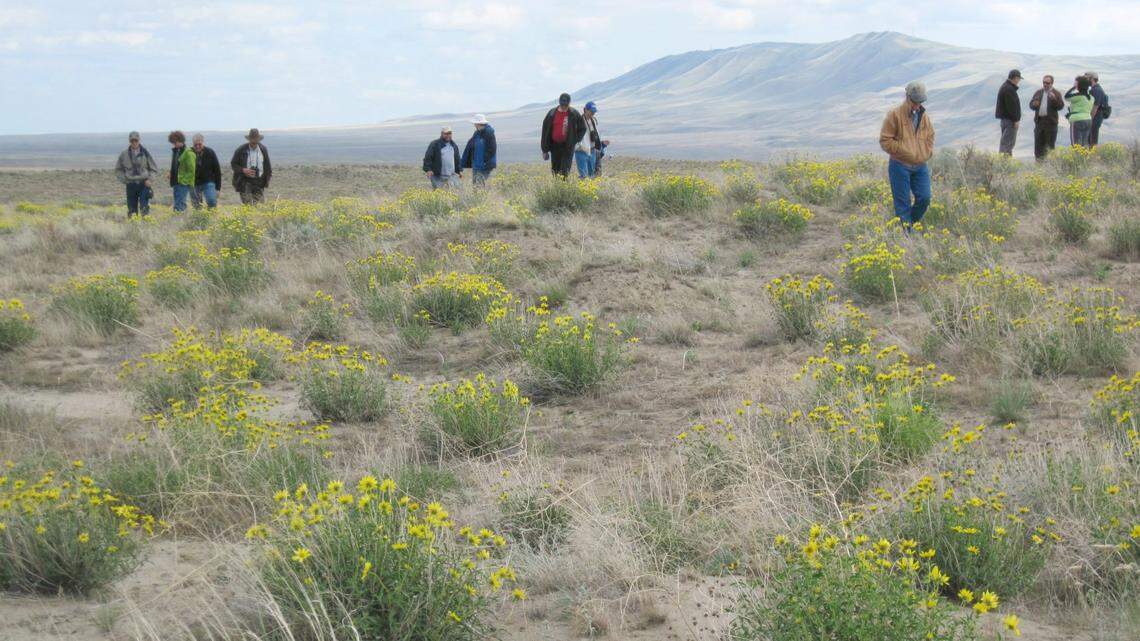 DOE must develop Hanford’s clean energy park in partnership with Tri-Cities | Opinion