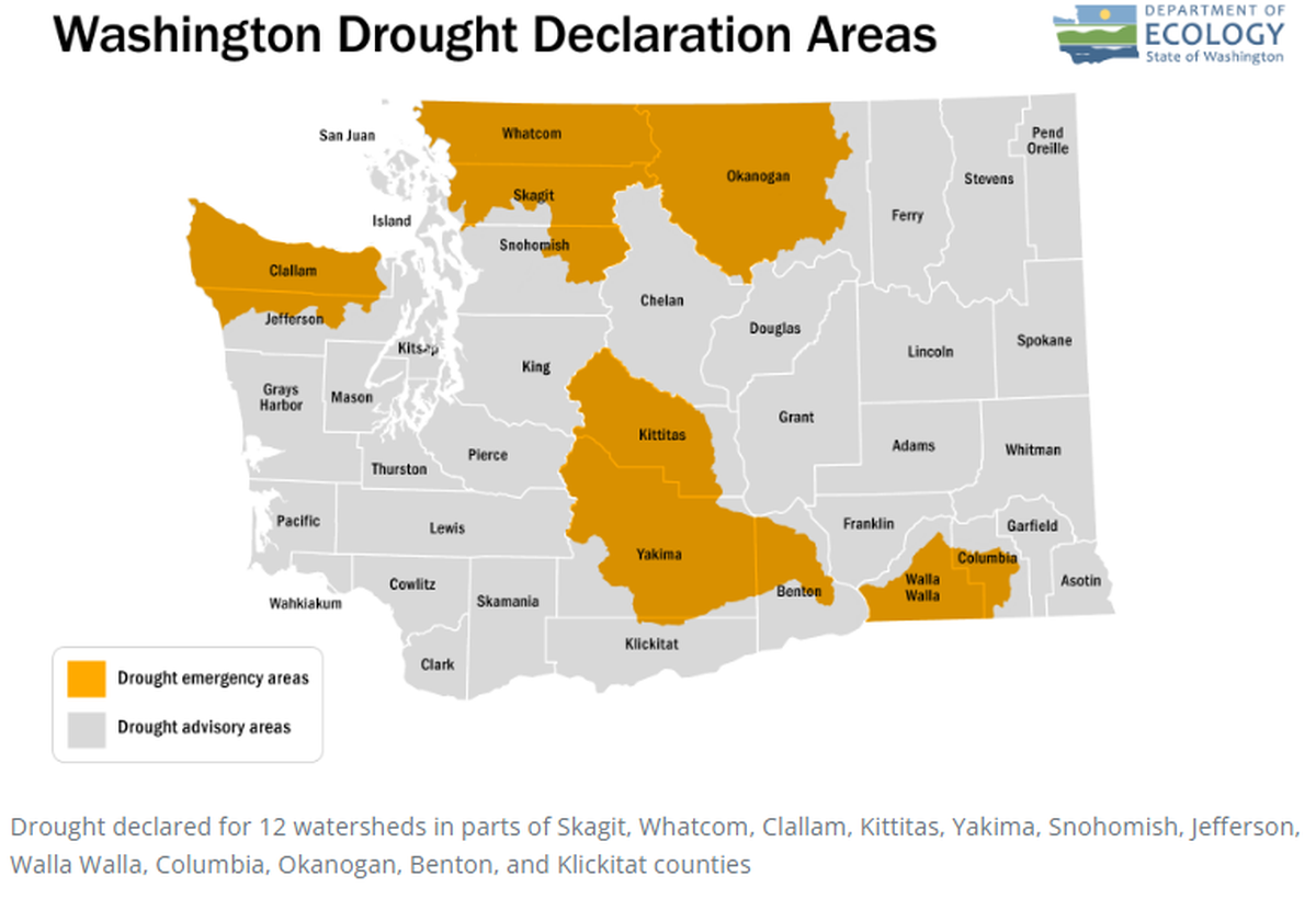 The Washington state Department of Ecology declared an emergency drought in 12 counties July 24, 2023.