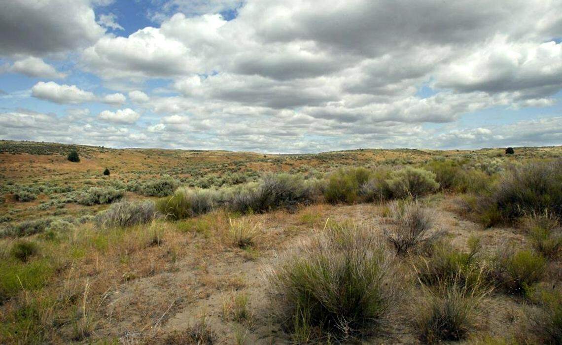 The Juniper Dunes Wilderness Area in Franklin County. It’s a 7,140-acre wilderness area known for its sand dunes and the northernmost juniper trees.