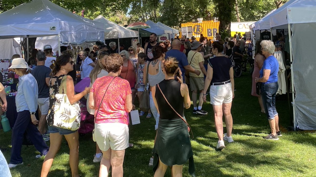 Shoppers browse some 200 vendor booths at Art in the Park in Richland. The show continues on Saturday at Howard Amon Park.