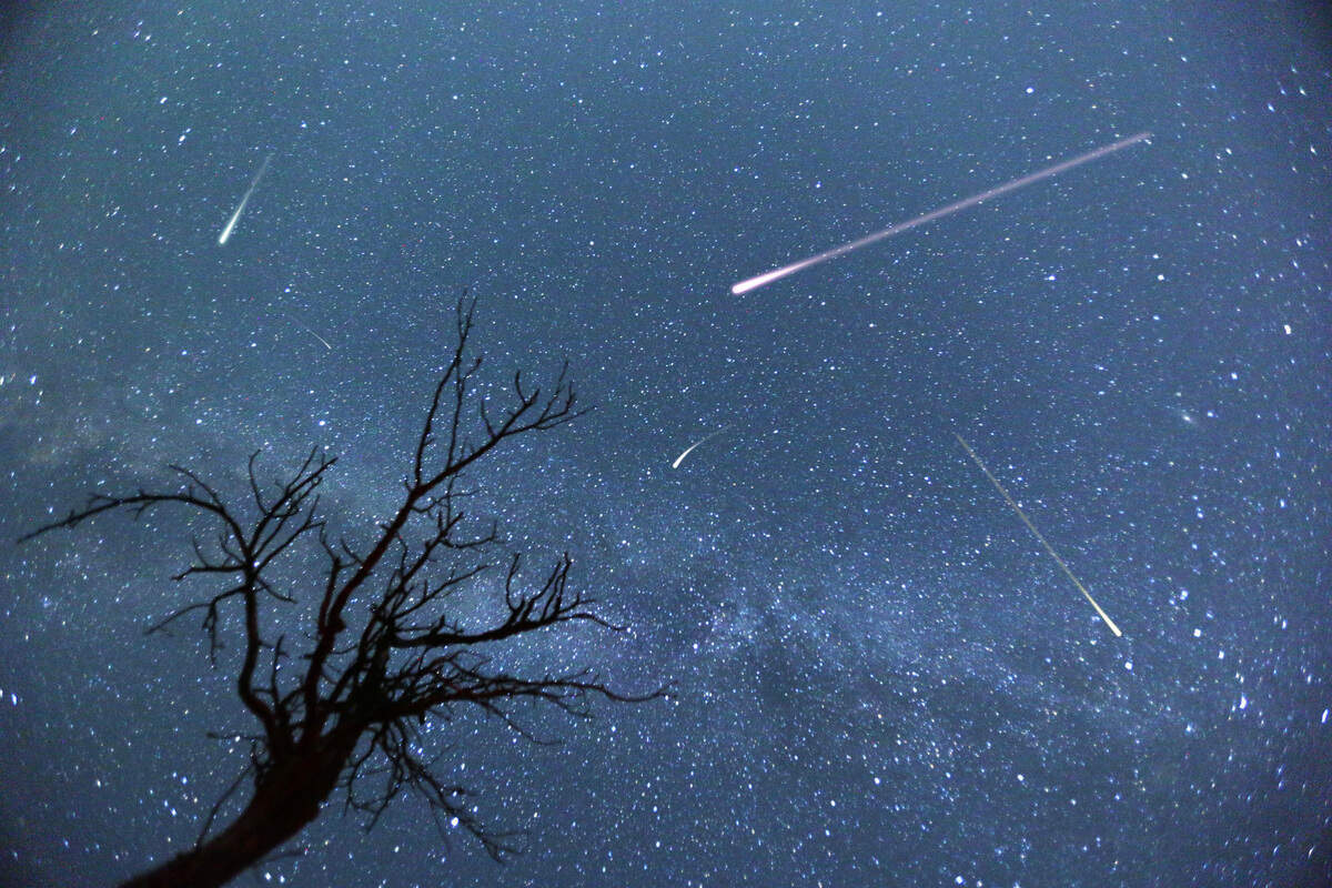 The Orionids meteor shower is about to shoot across the California sky and you can catch a glimpse under prime conditions.